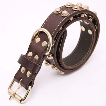 Leder Hundehalsband Bullet Nieten mit Cool